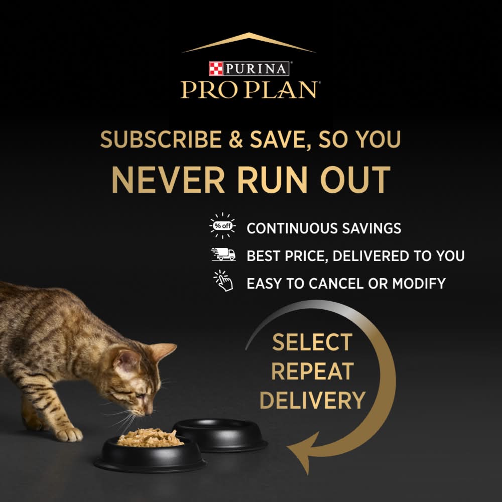 a window cat litter box Katio