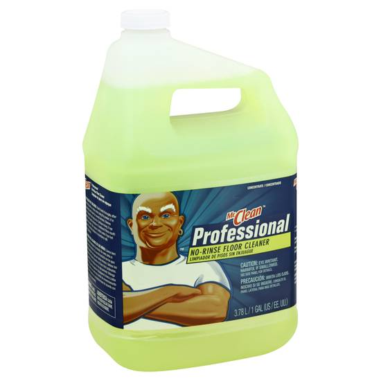 Mr. Clean Professional No-Rinse Floor Cleaner