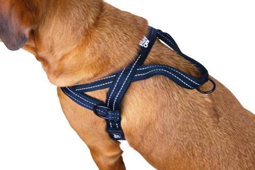 Play On Adventure Reflective Dog Harness, Black, Medium