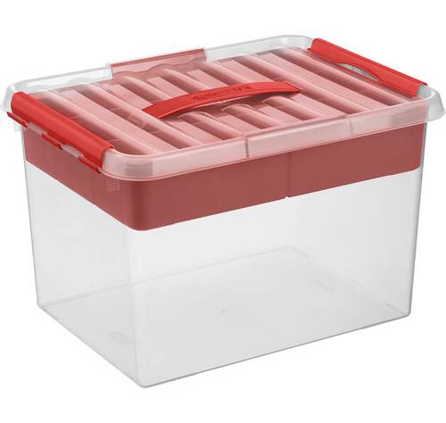 SNW · Caja multiusos q-line rojo (300 g)