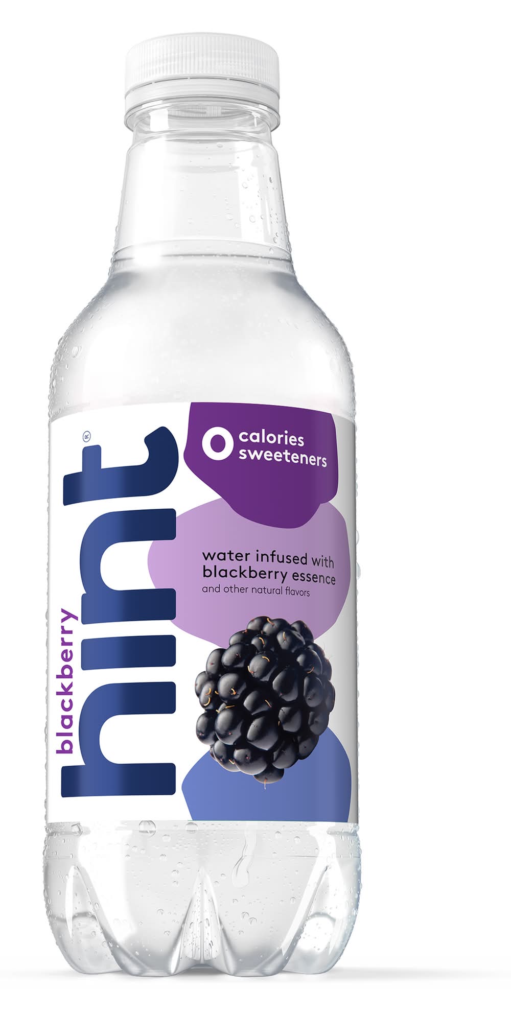 Hint Blackberry Infused Water (16 fl oz)
