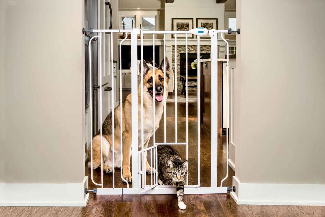 Carlson Extra Tall Walk Thru Pet Gate