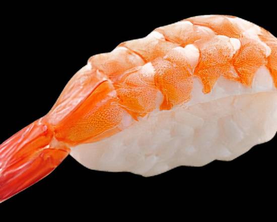 Shrimp