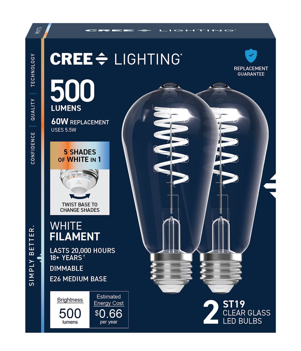 Cree Lighting 60 -Watt EQ ST19 Switchable white Medium screw base E26 Dimmable LED Decorative Light Bulb 2 -Pack
