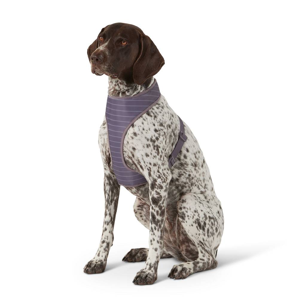 Top Paw Reversible Comfort Dog Harness (small/charcoal)