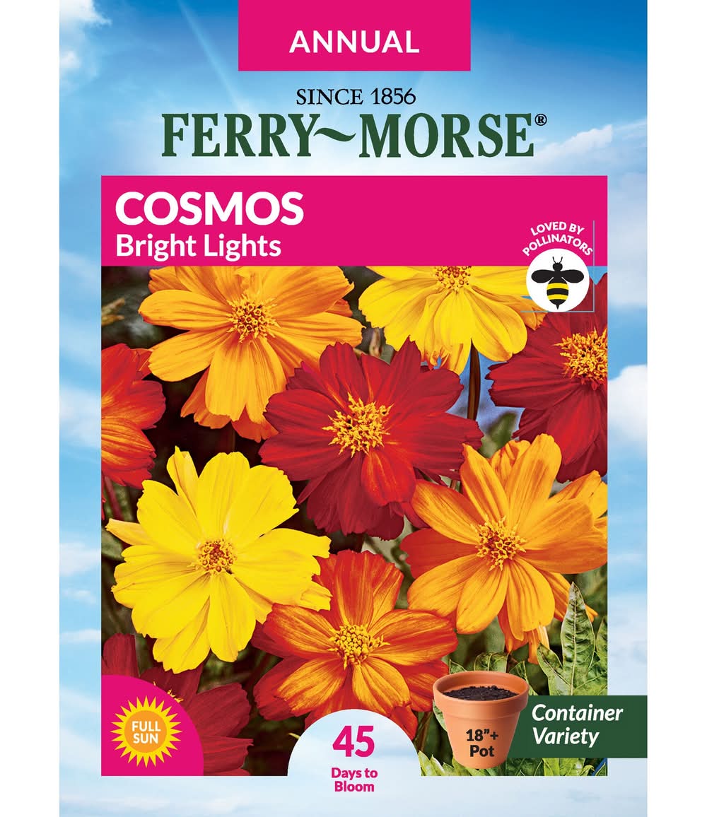 Ferry-Morse A COSMOS BRIGHT LIGHTS