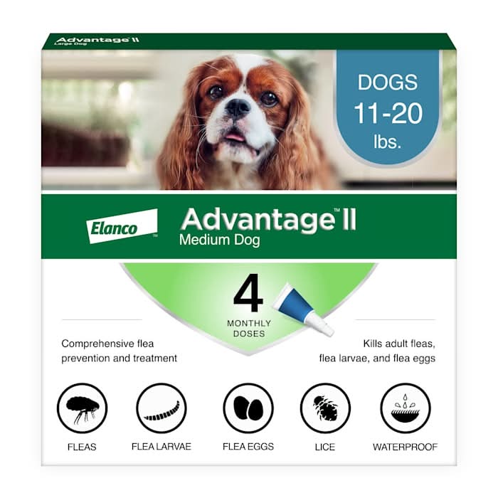 petco frontline dogs