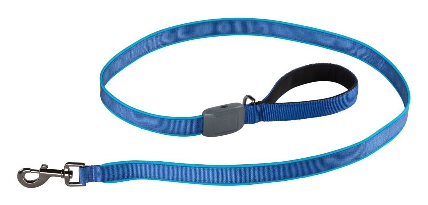 Nite Ize NiteDog Rechargeable LED Blue Dog Leash, 4 ft
