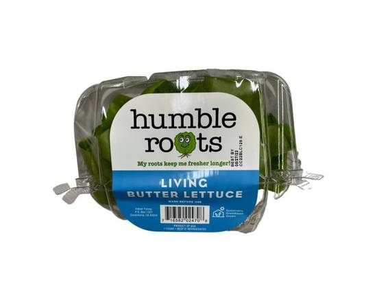 Humble Roots · Living Butter Lettuce (1 ct)
