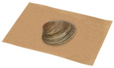 Littleneck Clam Eastern Farmed Fresh 1 Count - Each