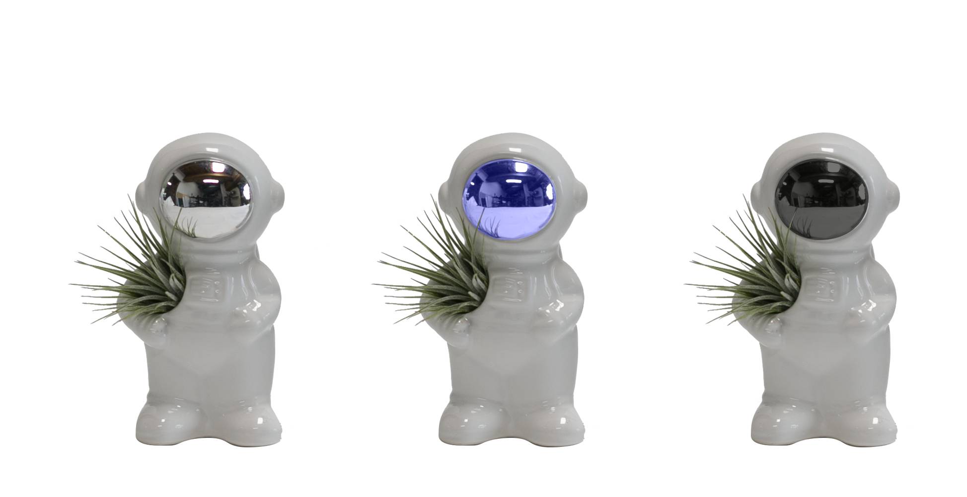 LiveTrends Ad Astra- Air Plant House Plant in 1-Pack Pot | ASB05535