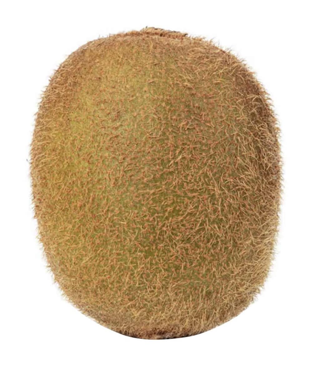 Kiwi In Bulk
