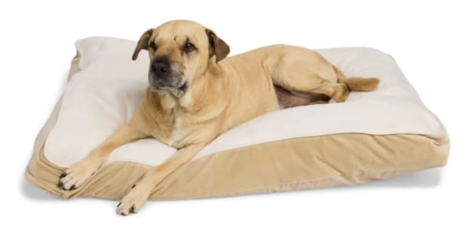 EveryYay Essentials Rectangle Lounger Dog Bed, L, Tan