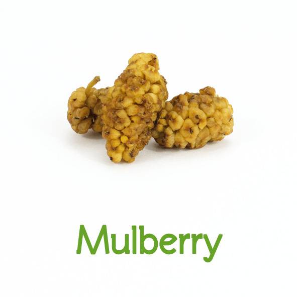 Juste Bio - Mulberries