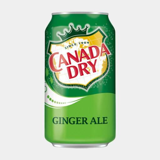 Canette Ginger Ale 355ml / Soft Drink Can Ginger Ale 355ml