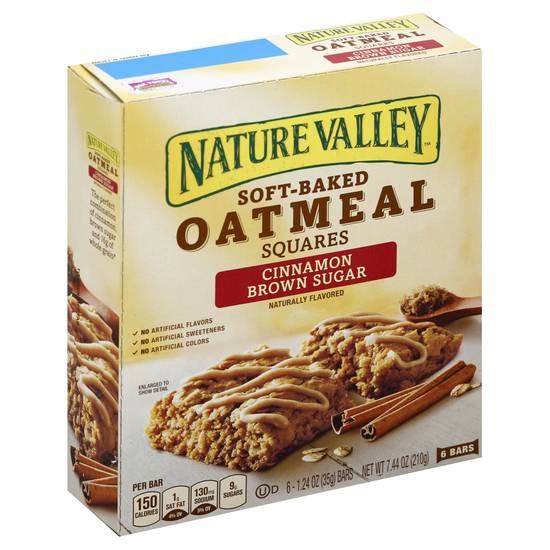 Nature Valley Soft-Baked Cinnamon Brown Sugar Oatmeal Squares (6 ct)