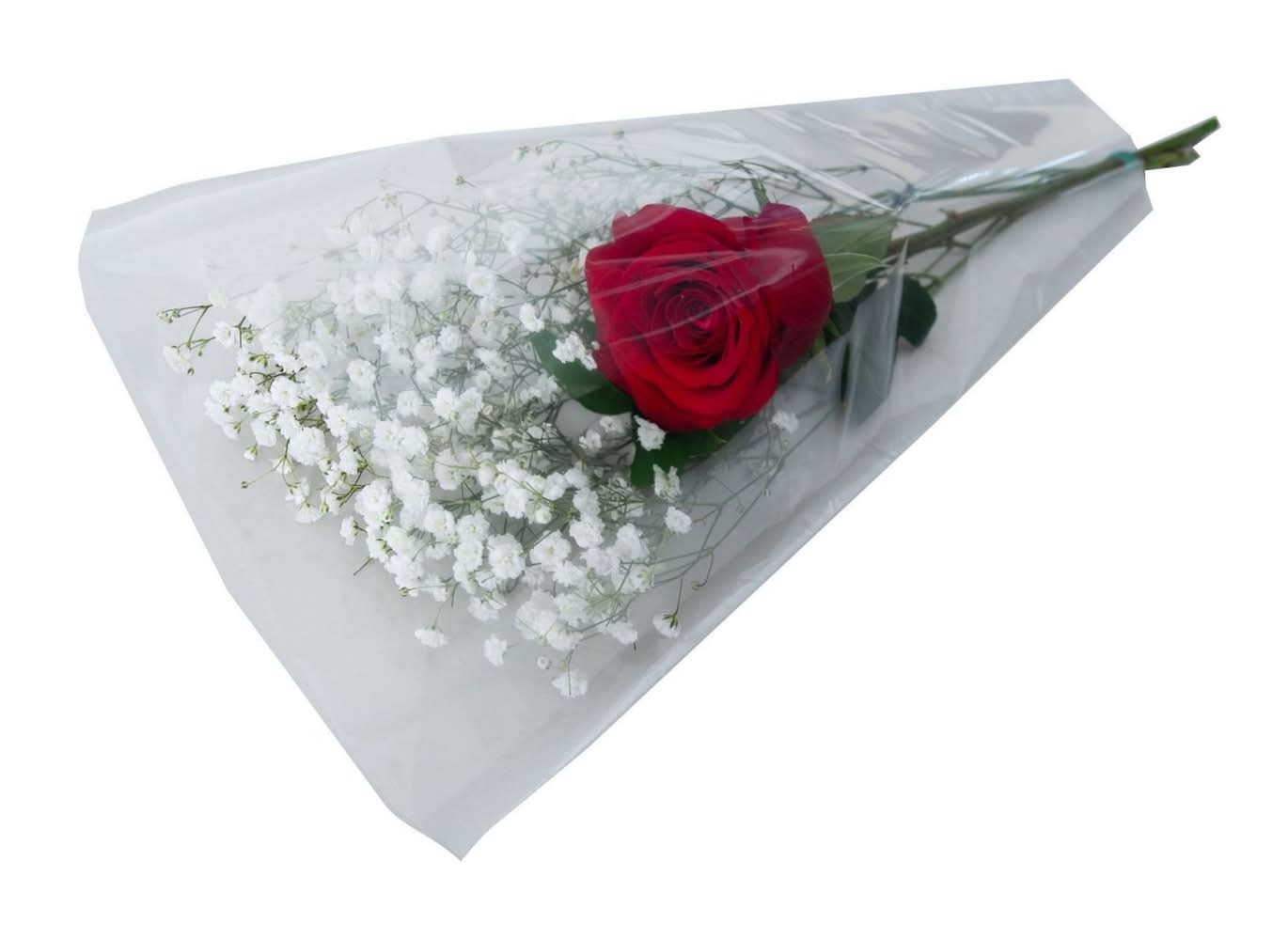 Fresh Cut Single Stem Rose Flowers