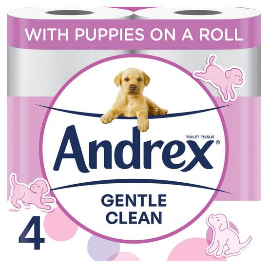 Andrex Gentle Clean Toilet Tissue 4 Rolls