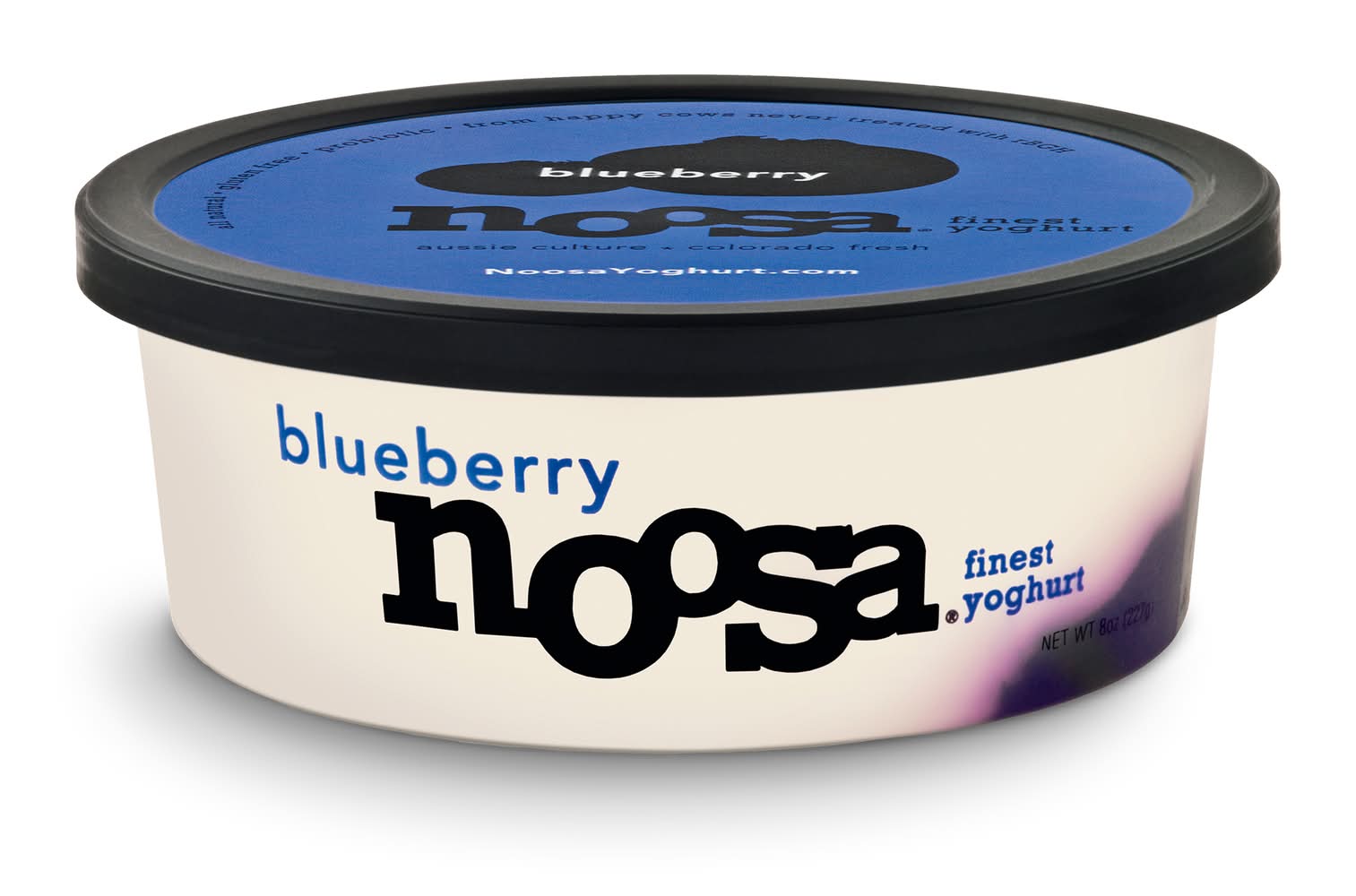 Noosa Blueberry Finest Yogurt (8 oz)