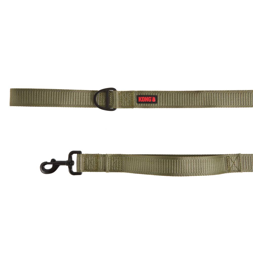 Kong Comfort Dog Leash (6 ft/green)