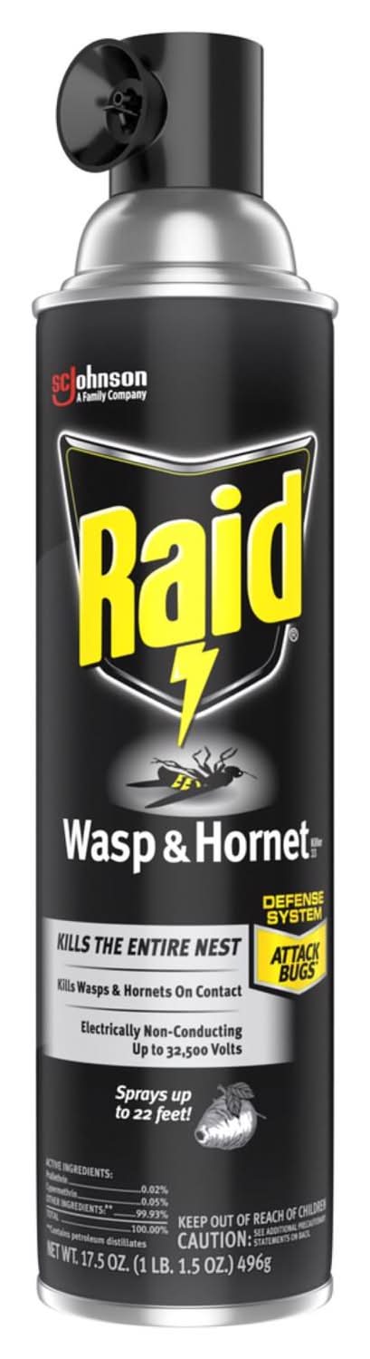 Raid Wasp And Hornet Killer Spray 17.5 Oz