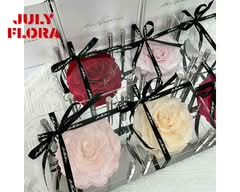 七月花蒔 JULY FLORA