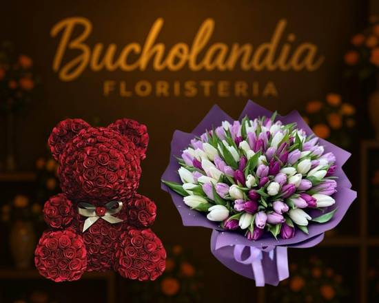 Bucholandia Floristeria XL San Rafael