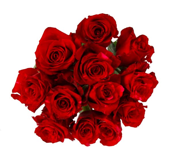 Rose Bouquet dozen Assorted Colors