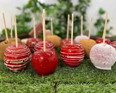 林檎堂 岐阜駅前店