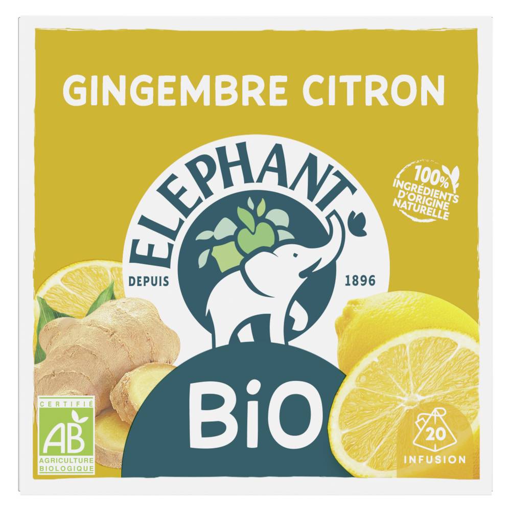 Eléphant - Infusion bio (34 g) (gingembre - citron)