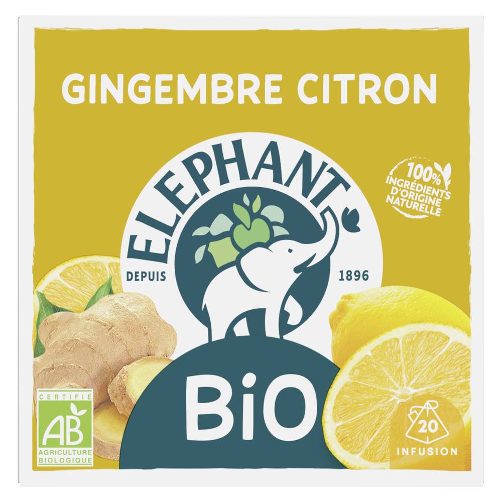 Eléphant - Infusion bio, gingembre - citron (20)