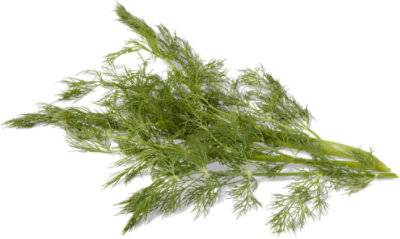 Dill Weed - 1 Bunch
