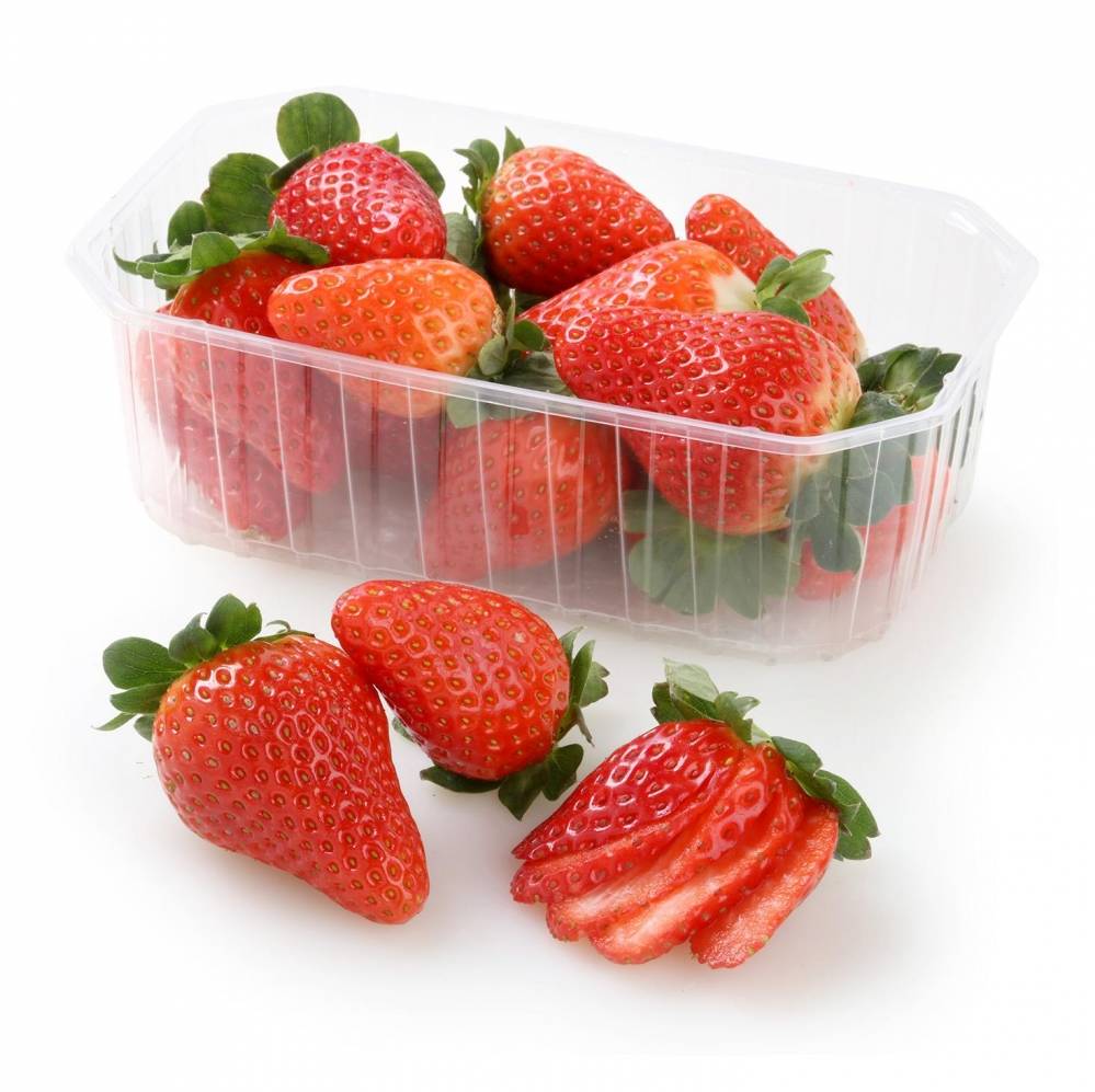 FRESON TARRINA 500GR (MERCADO)