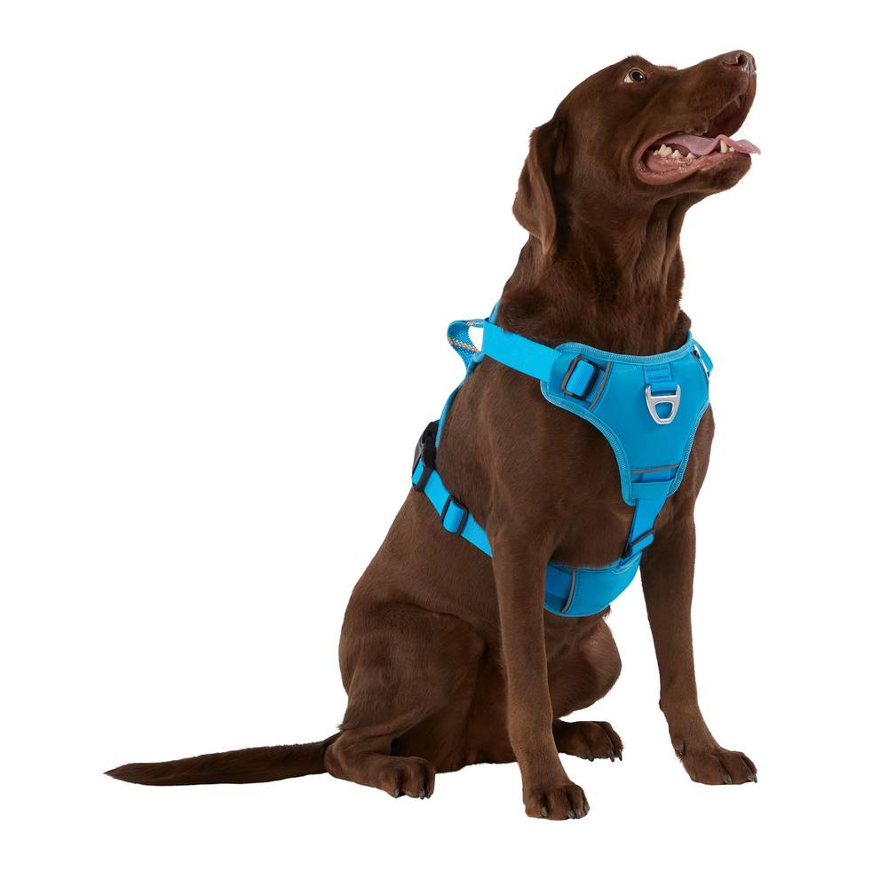 Arcadia Trail™ Neoprene Dog Harness - Reflective, Water-Resistant (Color: Blue, Size: Medium)