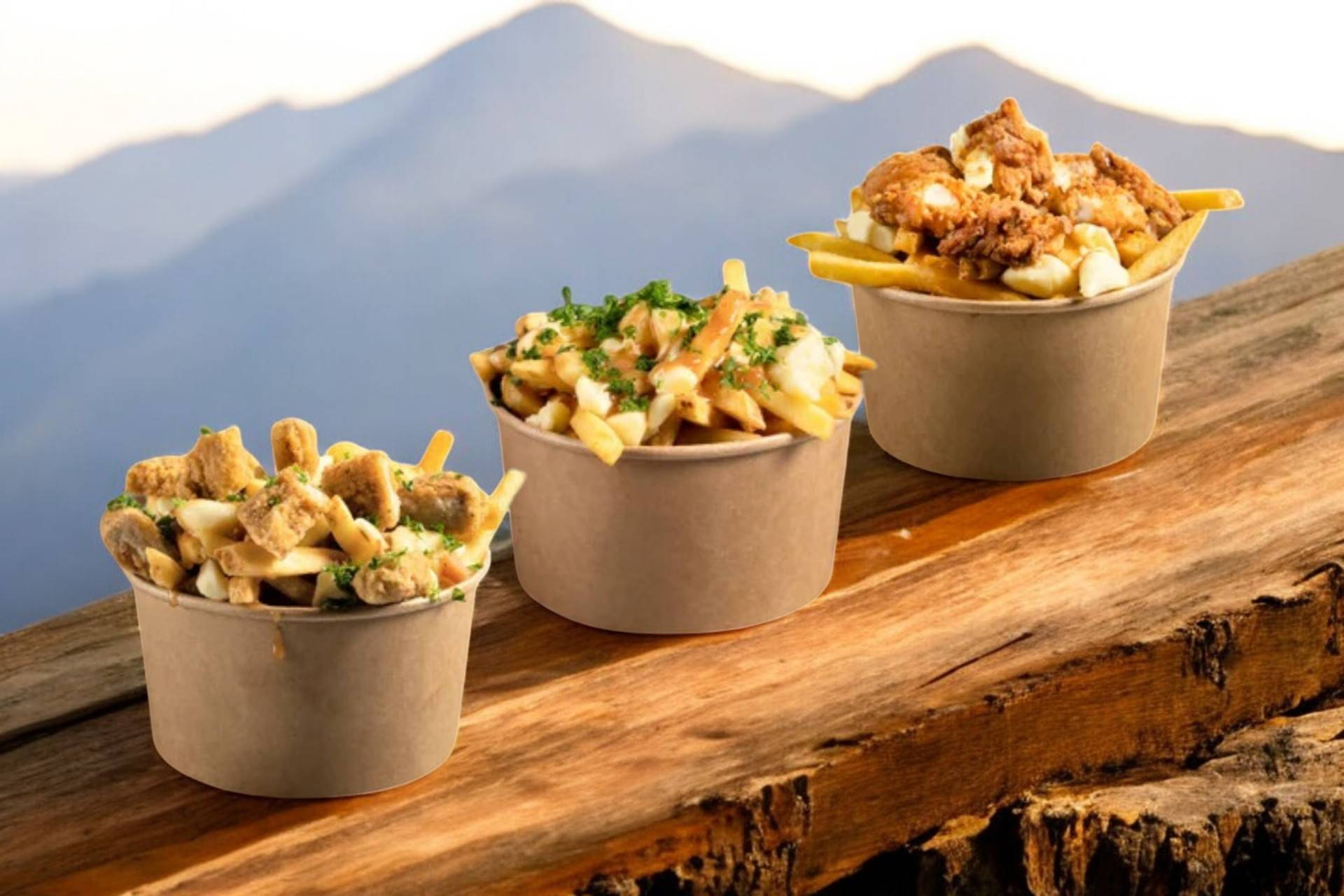 Dipbox Poutine