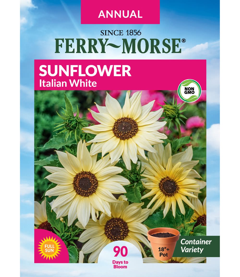 Ferry-Morse Sunflower Seeds 875 Milligram(s)