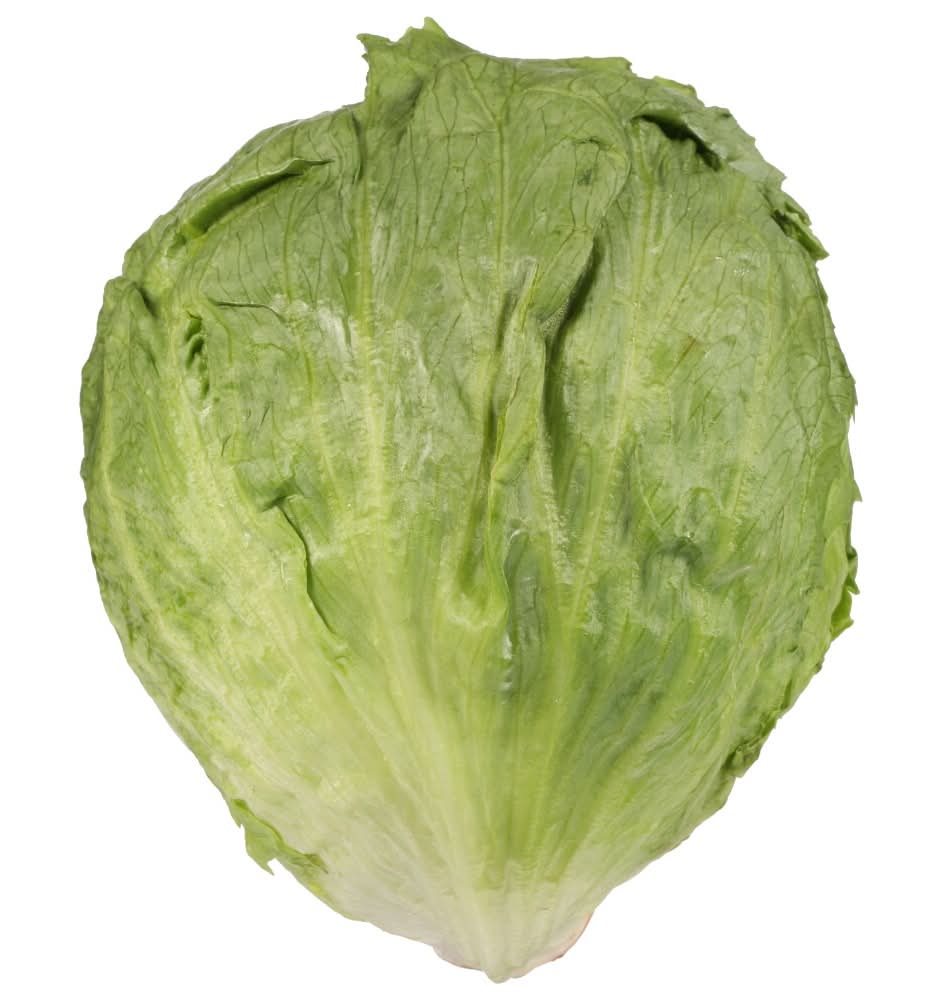 Organic Iceberg Lettuce