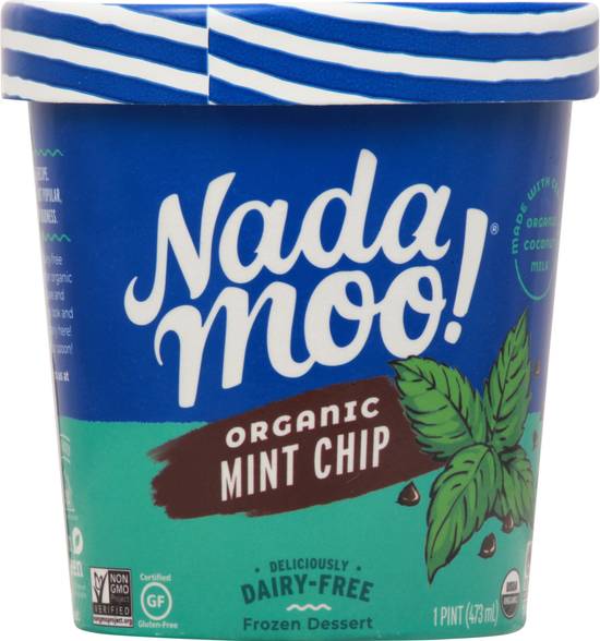 Nada Moo! Organic Mint Chip Dairy-Free Frozen Dessert