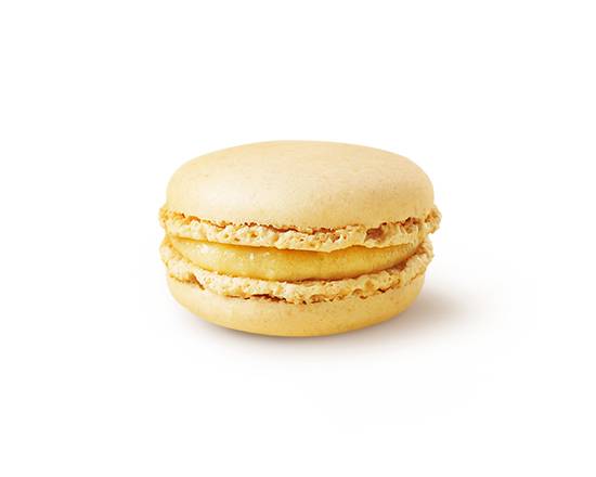 マカロン バニラ Macaron Vanilla