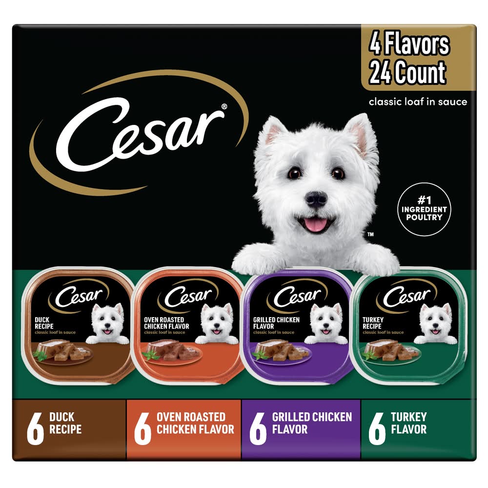 Cesar Loaf in Sauce Adult Wet Dog Food Poultry Flavors Variety Pack, 3.5 oz., Count of 24