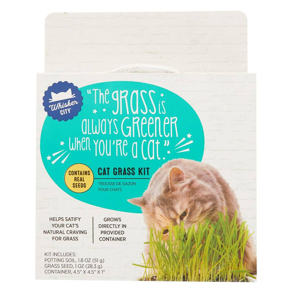 Whisker City Cat Grass Kit (Color: Green)