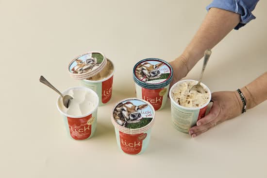 Lick Honest Ice Cream (Houston)