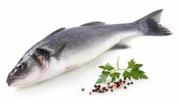Lubina 600 g aprox