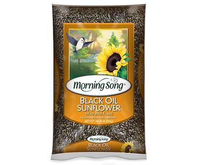 Morning Song Black Oil Sunflower Wild Bird Food