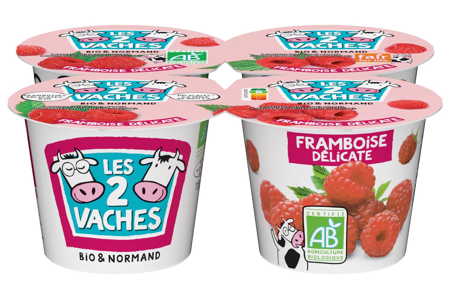 Les 2 Vaches - Yaourt aux fruits bio framboise (460g)