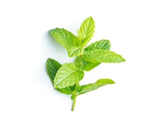 Mint (1 unit)