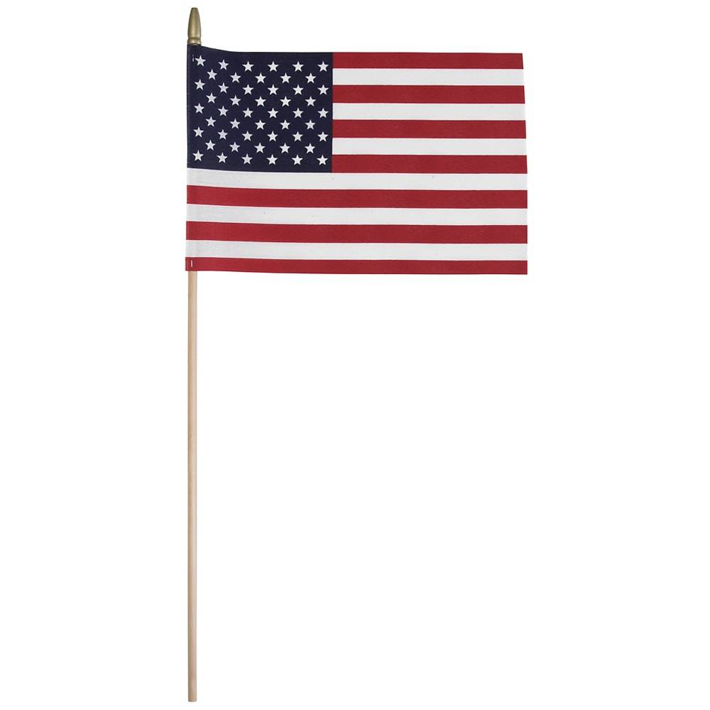 8-In X 12-in American Hand Flag