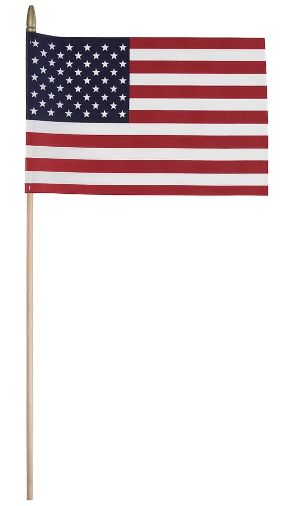 Valley Forge Flag 1.0-ft W x 2.0-ft H American Flag