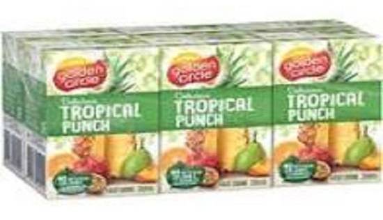 Golden Circle Sunshine Tropical Punch 250mL (6 Pack)