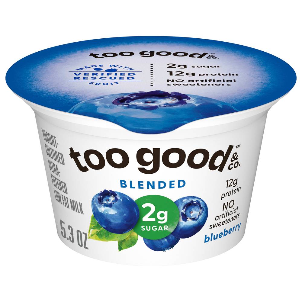 Two Good Low Fat Lower Sugar Blueberry Greek Yogurt (5.3 oz)